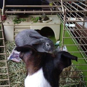 Meet your Posher, Glendolyn